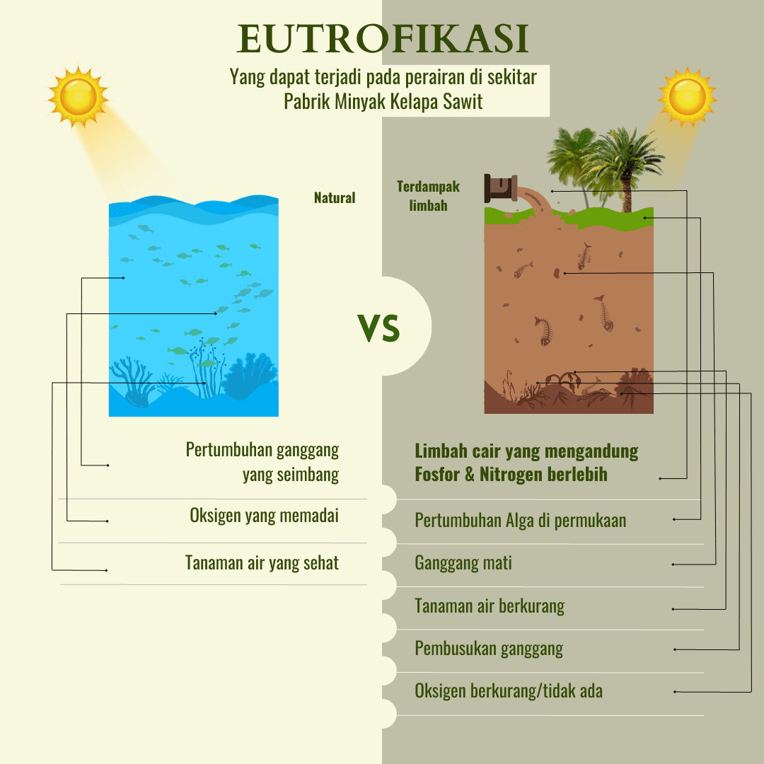 dampak eutrofikasi pabrik minyak kelapa sawit